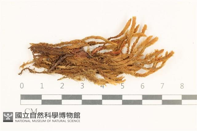 登錄號:B00013719藏品圖，第1張