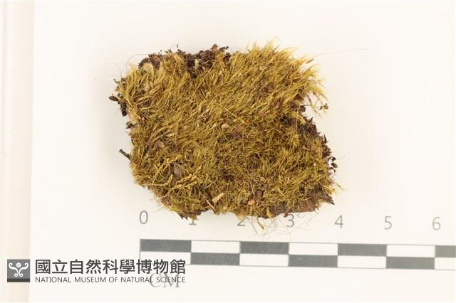 登錄號:B00017299藏品圖，第1張