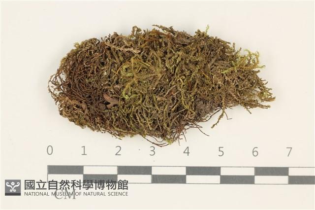 登錄號:B00015099藏品圖，第1張