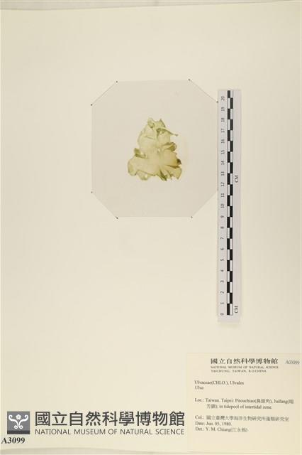 登錄號:A00003099藏品圖，第3張