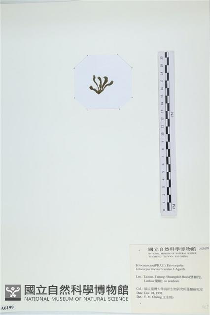 登錄號:A00006199藏品圖，第3張