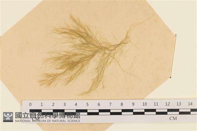 登錄號:A00003599藏品圖，第1張