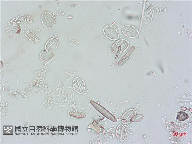 登錄號:A00004499藏品圖，第4張