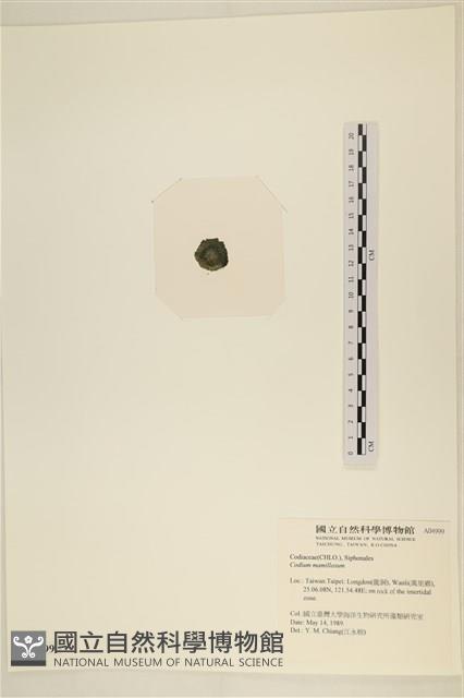 登錄號:A00004999藏品圖，第3張