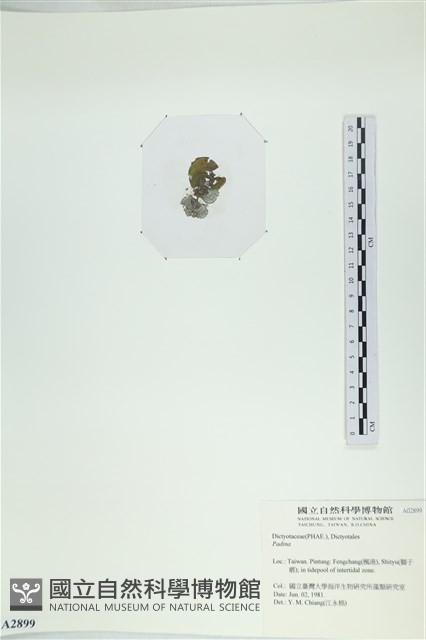 登錄號:A00002899藏品圖，第3張