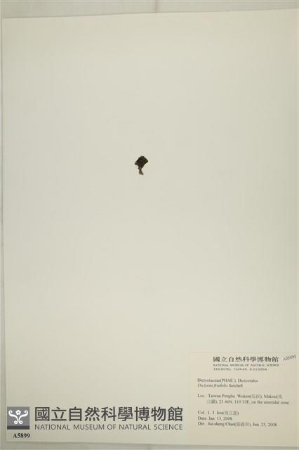 登錄號:A00005899藏品圖，第3張