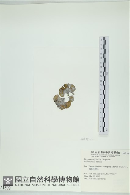 登錄號:A00001399藏品圖，第3張