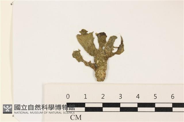 登錄號:A00003399藏品圖，第1張