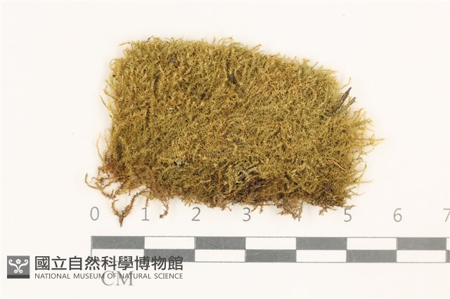 登錄號:B00014649藏品圖，第1張
