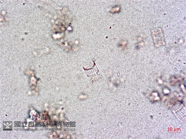 登錄號:A00004649藏品圖，第4張