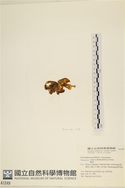 登錄號:A00001249藏品圖，第3張
