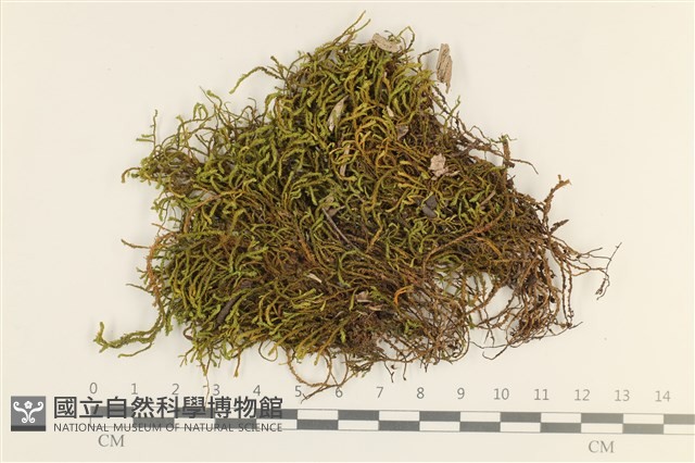 登錄號:B00008049藏品圖，第1張