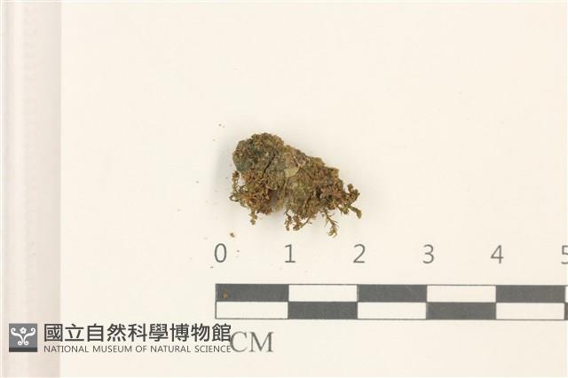 登錄號:B00014049藏品圖，第1張