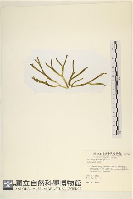 登錄號:A00005049藏品圖，第3張