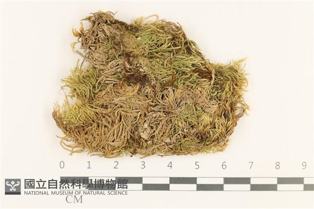 登錄號:B00011049藏品圖，第1張