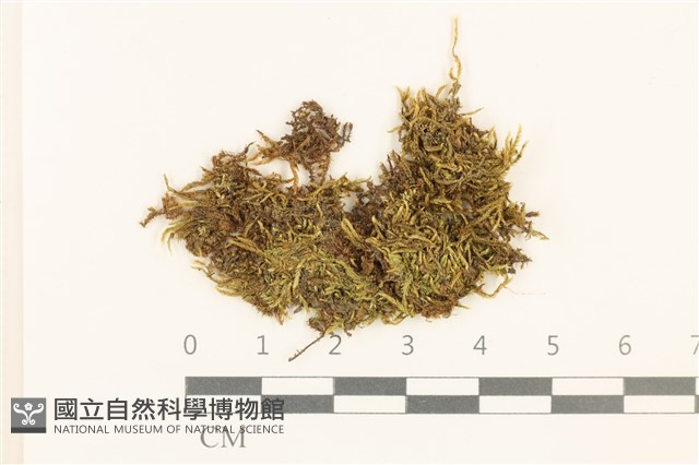 登錄號:B00015149藏品圖，第1張