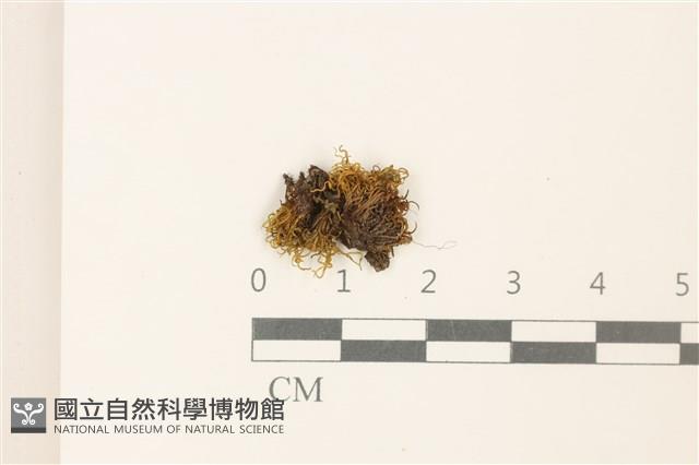 登錄號:B00010149藏品圖，第1張