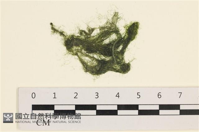 登錄號:A00005549藏品圖，第1張