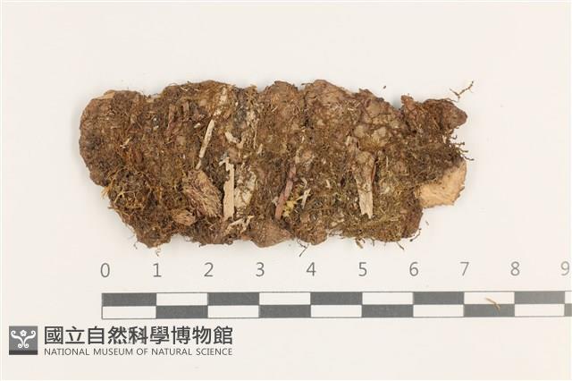 登錄號:B00019449藏品圖，第1張