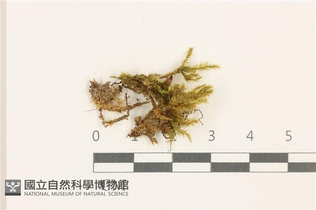 登錄號:B00014449藏品圖，第1張