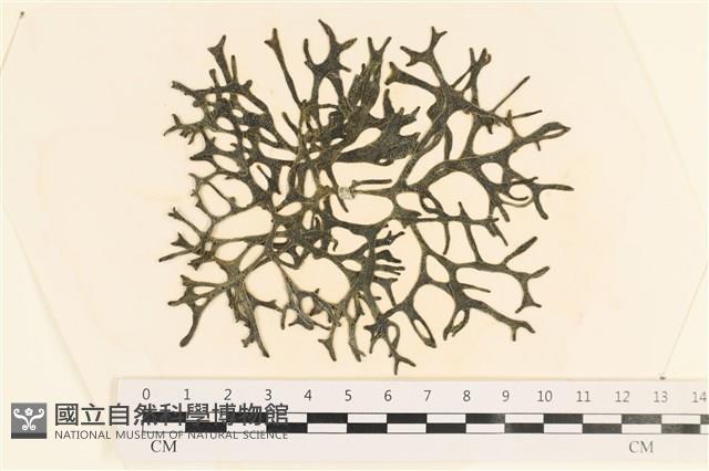 登錄號:A00005449藏品圖，第1張