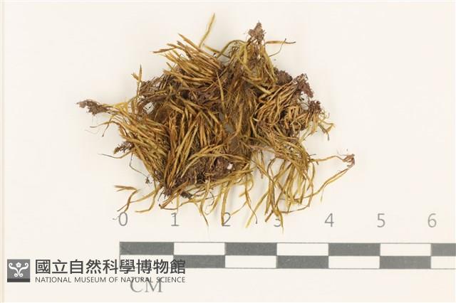 登錄號:B00013449藏品圖，第1張