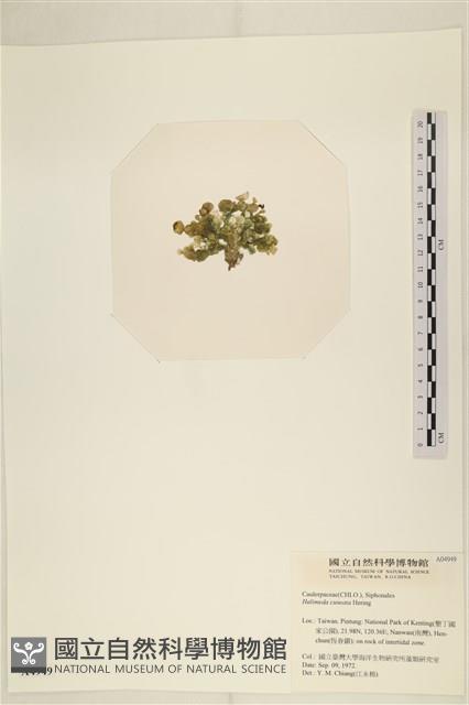 登錄號:A00004949藏品圖，第3張