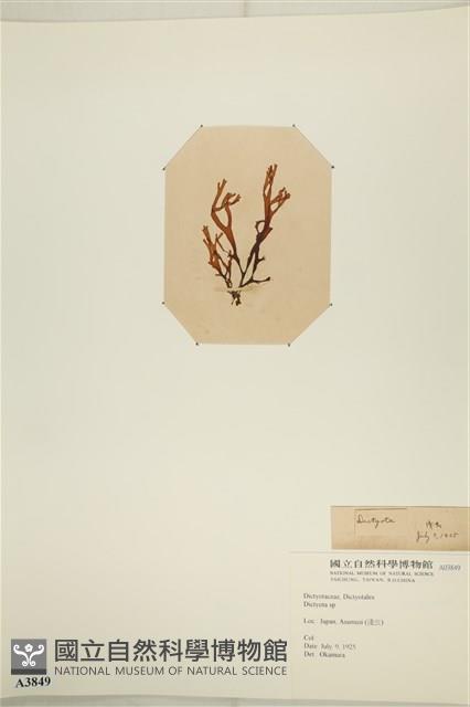 登錄號:A00003849藏品圖，第3張
