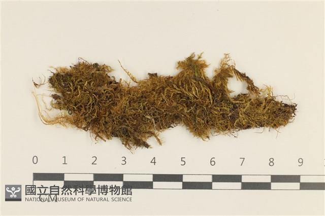 登錄號:B00000349藏品圖，第1張