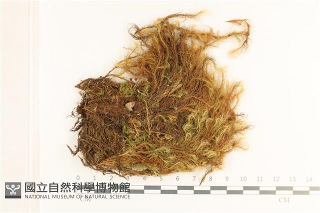 登錄號:B00017749藏品圖，第1張