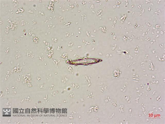 登錄號:A00004669藏品圖，第4張