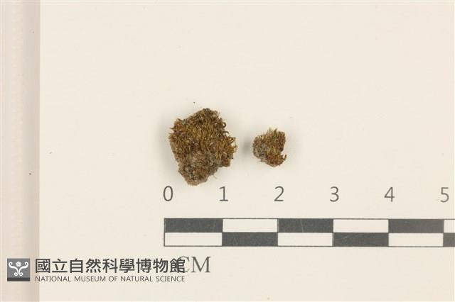 登錄號:B00014069藏品圖，第1張