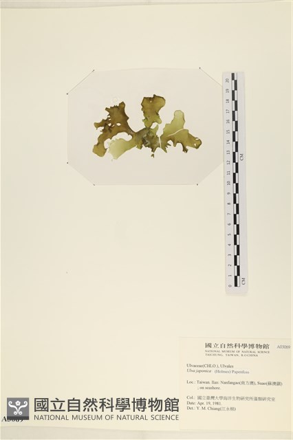 登錄號:A00003069藏品圖，第3張