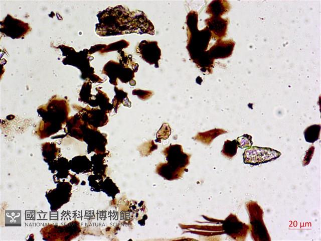 登錄號:A00004569藏品圖，第4張
