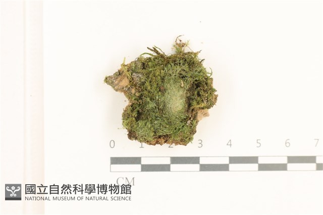 登錄號:B00012469藏品圖，第1張