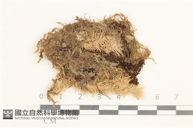 館號:B00019469藏品圖，第1張