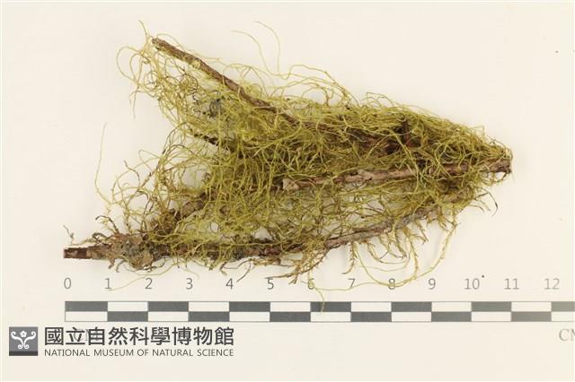 登錄號:B00011609藏品圖，第1張