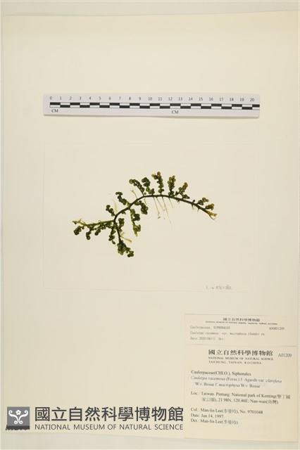 館號:A00001209藏品圖，第1張