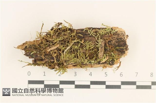 登錄號:B00013209藏品圖，第1張
