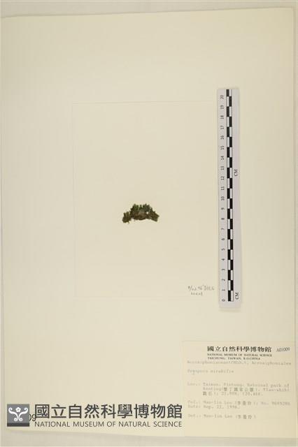 登錄號:A00001009藏品圖，第3張