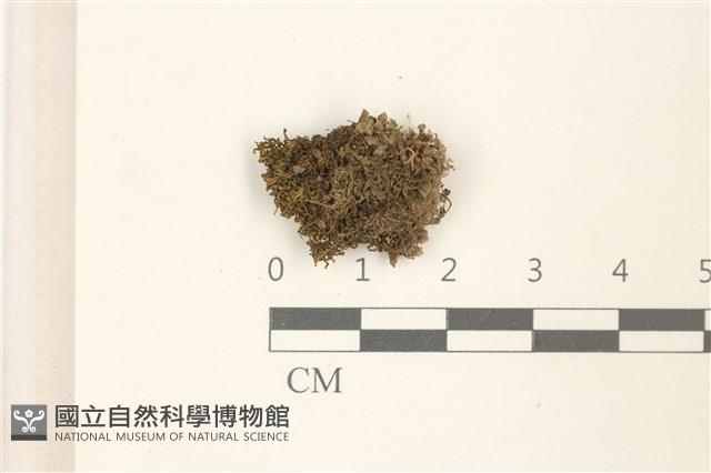 登錄號:B00016109藏品圖，第1張