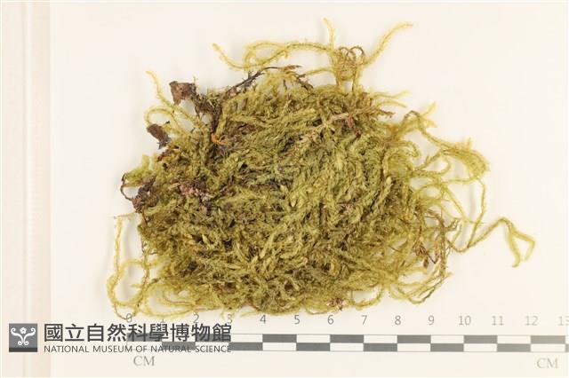 登錄號:B00006109藏品圖，第1張