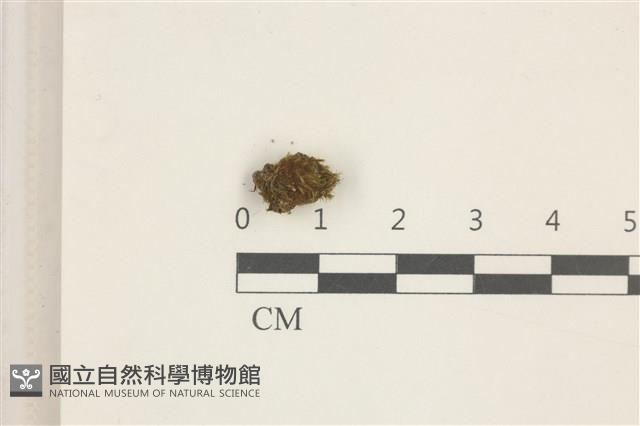 登錄號:B00015109藏品圖，第1張