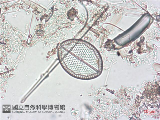 登錄號:A00004509藏品圖，第4張