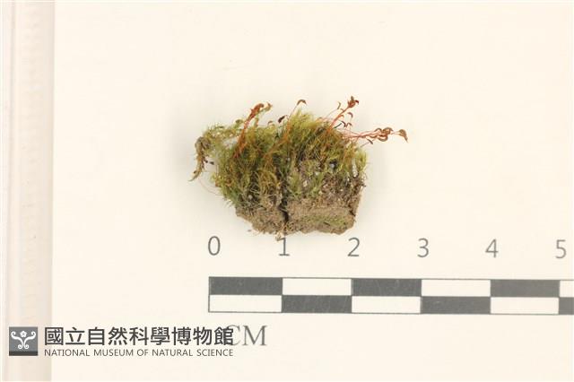 登錄號:B00017409藏品圖，第1張