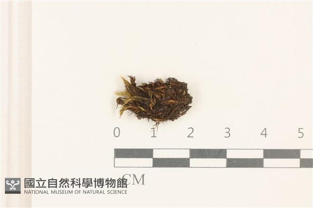 Accession Number:B00002709 Collection Image, Figure 1, Total 2 Figures