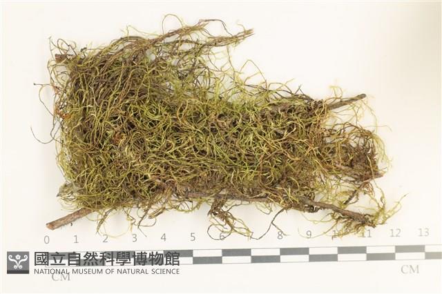 登錄號:B00011689藏品圖，第1張