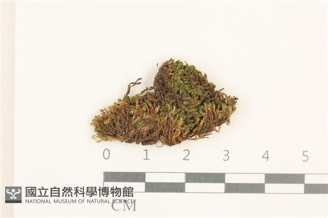 登錄號:B00020689藏品圖，第1張