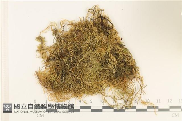 登錄號:B00000689藏品圖，第1張