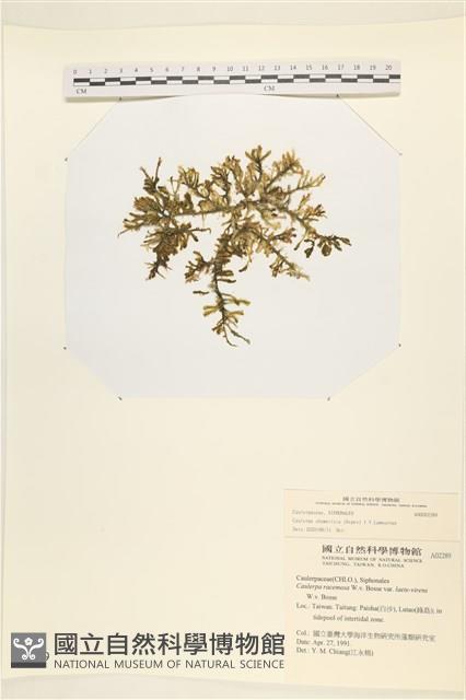 登錄號:A00002289藏品圖，第1張